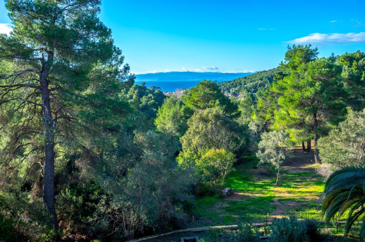 Forest Resort Suites Skiathos 特劳洛斯 外观 照片
