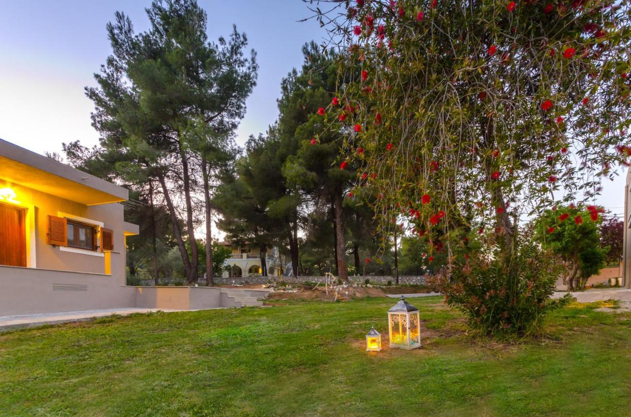 Forest Resort Suites Skiathos 特劳洛斯 外观 照片