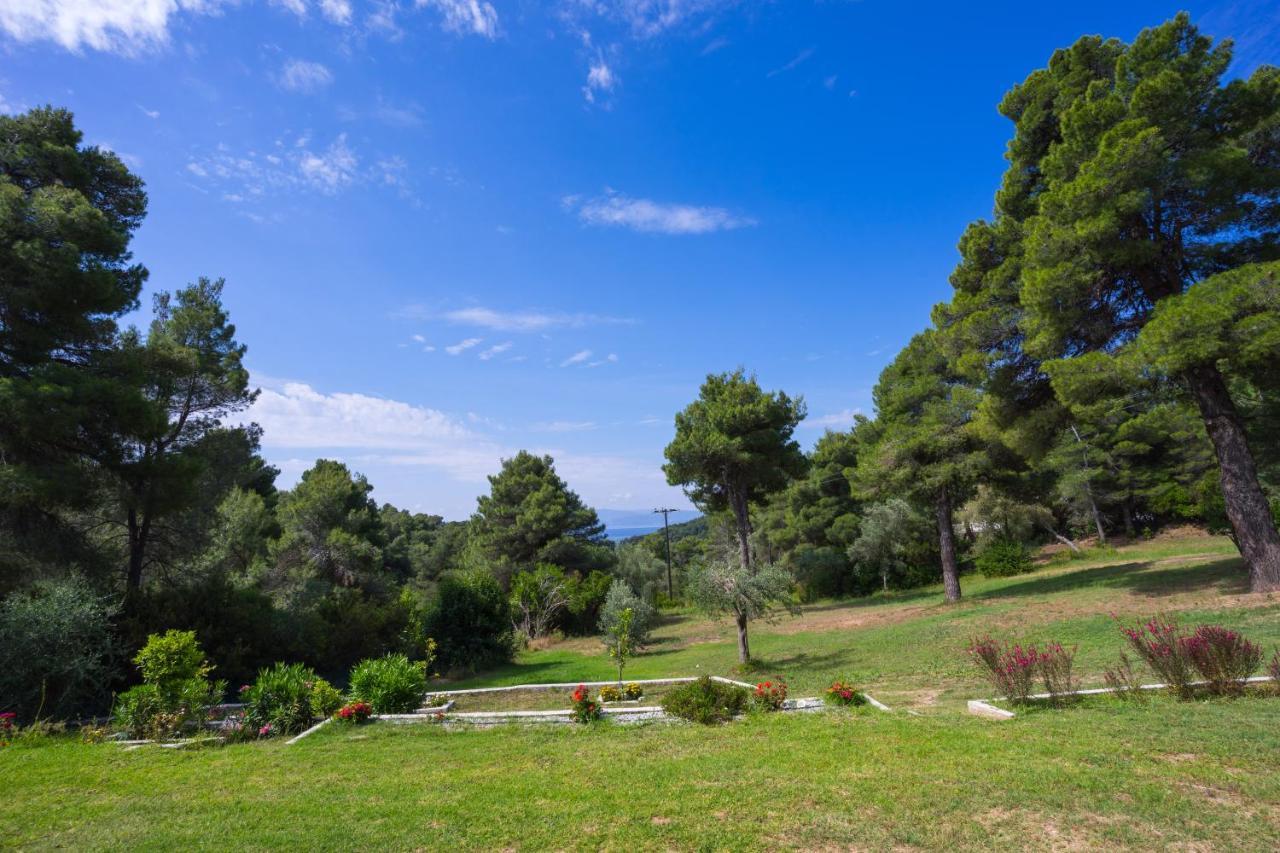 Forest Resort Suites Skiathos 特劳洛斯 外观 照片