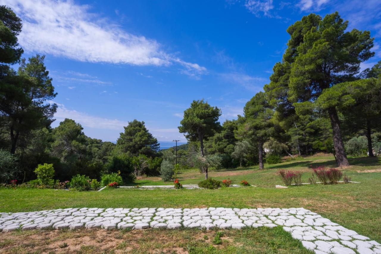 Forest Resort Suites Skiathos 特劳洛斯 外观 照片