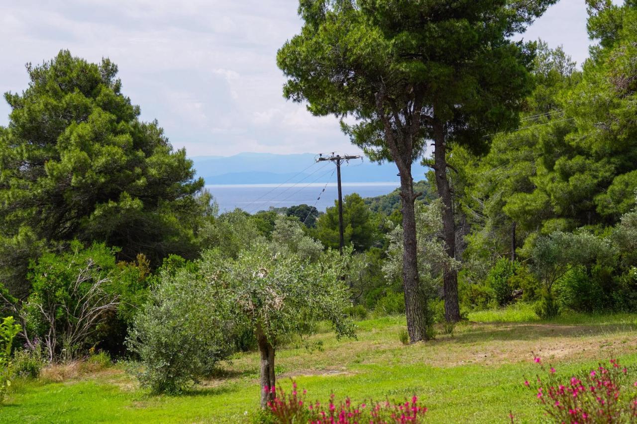 Forest Resort Suites Skiathos 特劳洛斯 外观 照片